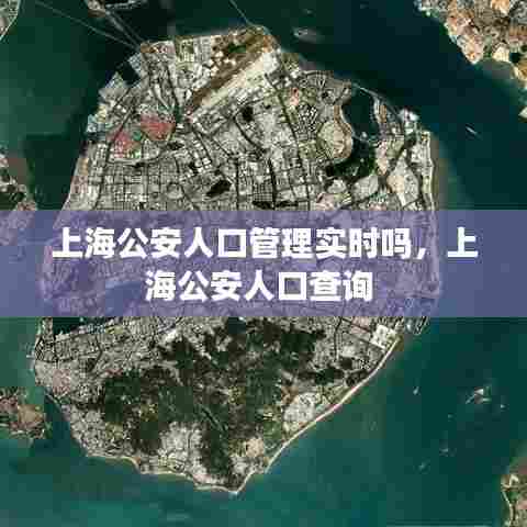 上海公安人口管理实时吗,上海公安人口查询