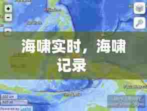 海啸实时,海啸记录