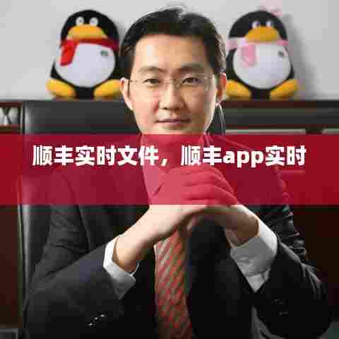 顺丰实时文件,顺丰app实时