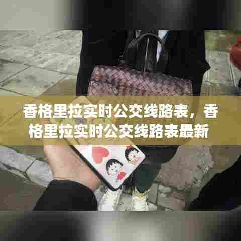 香格里拉实时公交线路表,香格里拉实时公交线路表最新