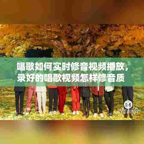 唱歌如何实时修音视频播放,录好的唱歌视频怎样修音质