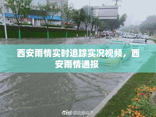 西安雨情实时追踪实况视频,西安雨情通报