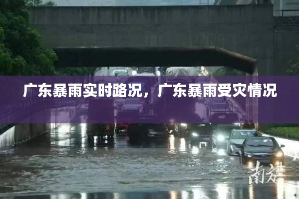 广东暴雨实时路况,广东暴雨受灾情况