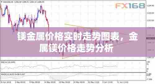 镁金属价格实时走势图表,金属镁价格走势分析