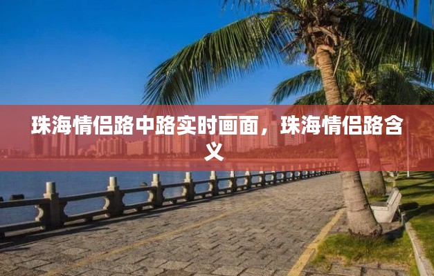 珠海情侣路中路实时画面,珠海情侣路含义