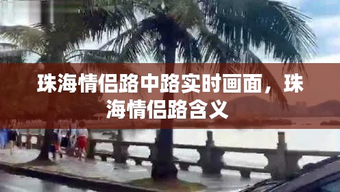 珠海情侣路中路实时画面,珠海情侣路含义