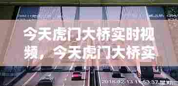 今天虎门大桥实时视频,今天虎门大桥实时路况视频