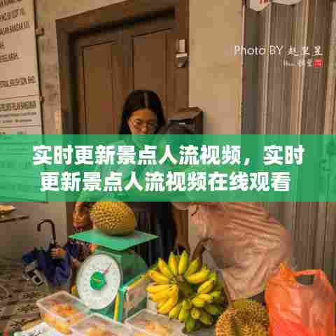 实时更新景点人流视频,实时更新景点人流视频在线观看