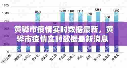 黄骅市疫情实时数据最新,黄骅市疫情实时数据最新消息