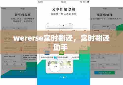 wererse实时翻译,实时翻译助手