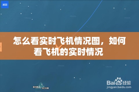 怎么看实时飞机情况图,如何看飞机的实时情况