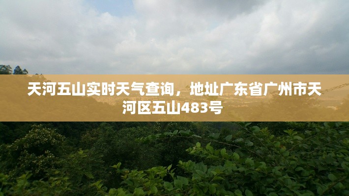 天河五山实时天气查询,地址广东省广州市天河区五山483号