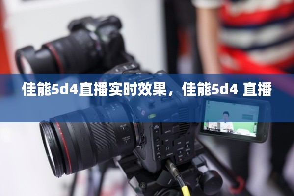 佳能5d4直播实时效果,佳能5d4 直播