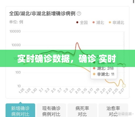 实时确诊数据,确诊 实时