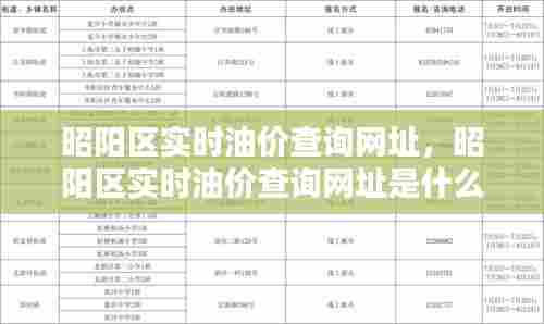 昭阳区实时油价查询网址，昭阳区实时油价查询网址是什么 