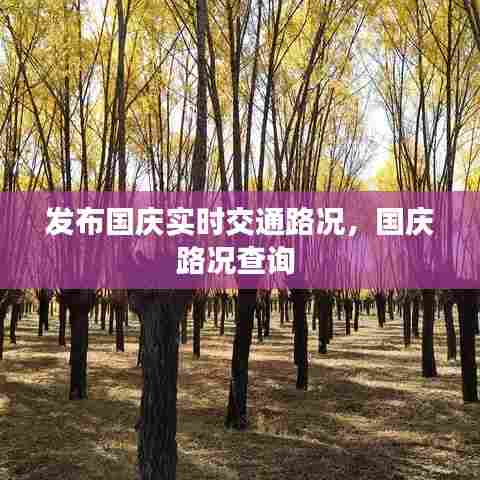 发布国庆实时交通路况,国庆路况查询
