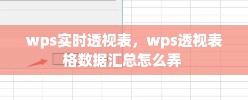 wps实时透视表,wps透视表格数据汇总怎么弄
