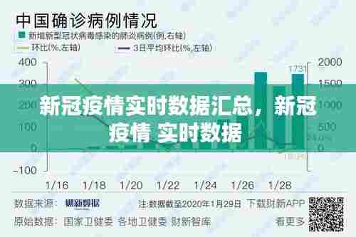 新冠疫情实时数据汇总,新冠疫情 实时数据