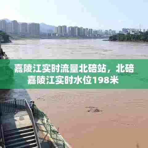 嘉陵江实时流量北碚站,北碚嘉陵江实时水位198米