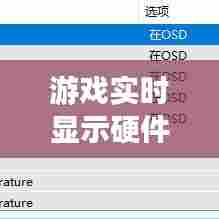 游戏实时显示硬件信息,游戏加加硬件信息不显示