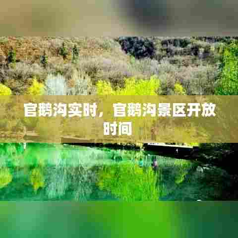 官鹅沟实时,官鹅沟景区开放时间