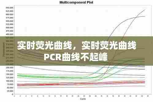 实时荧光曲线,实时荧光曲线PCR曲线不起峰