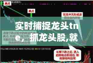 实时捕捉龙头tne,抓龙头股,就这几招