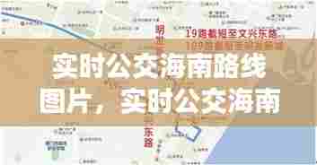 实时公交海南路线图片,实时公交海南路线图片查询