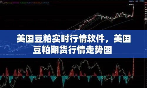 早生贵子 第7页