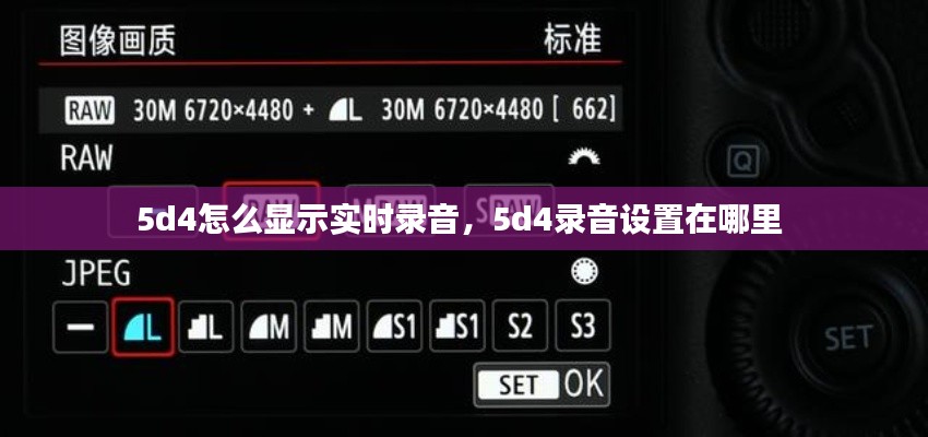 5d4怎么显示实时录音,5d4录音设置在哪里
