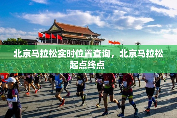 北京马拉松实时位置查询,北京马拉松起点终点