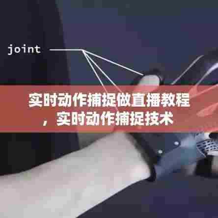 实时动作捕捉做直播教程,实时动作捕捉技术
