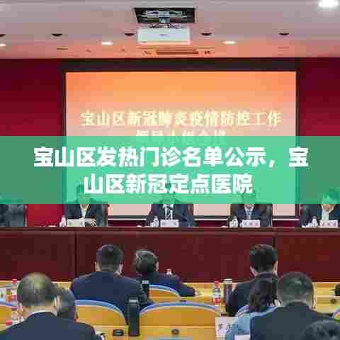 宝山区发热门诊名单公示,宝山区新冠定点医院