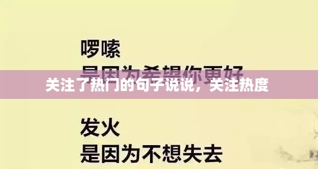 关注了热门的句子说说,关注热度