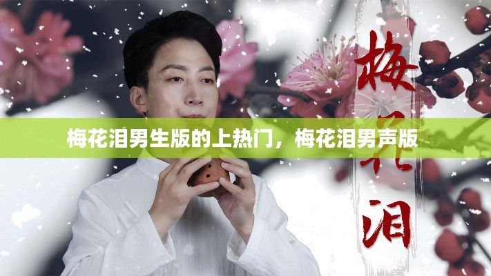 梅花泪男生版的上热门,梅花泪男声版