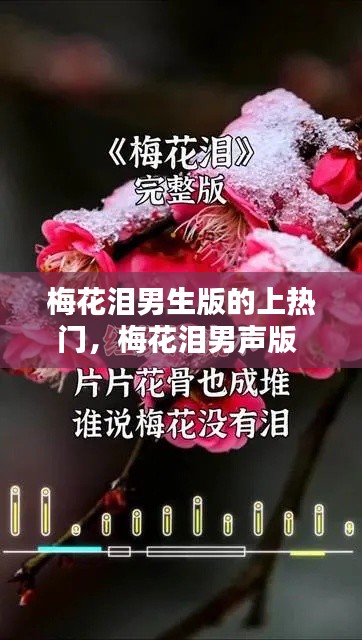 梅花泪男生版的上热门,梅花泪男声版