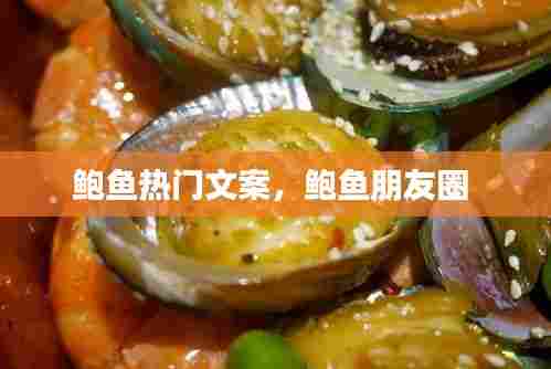 鲍鱼热门文案,鲍鱼朋友圈