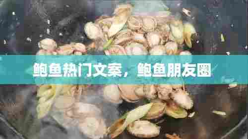 鲍鱼热门文案,鲍鱼朋友圈