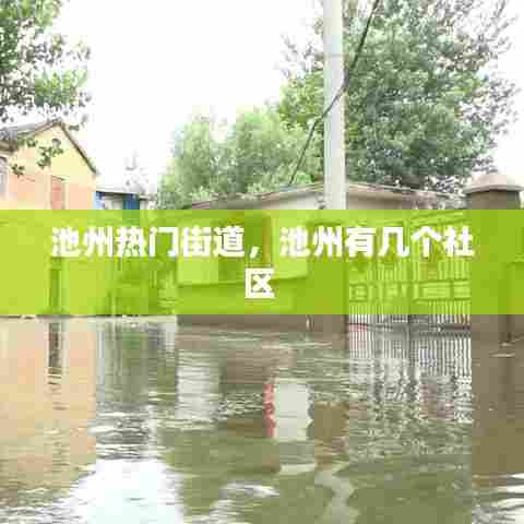 池州热门街道,池州有几个社区