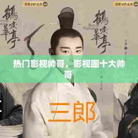 热门影视帅哥,影视圈十大帅哥