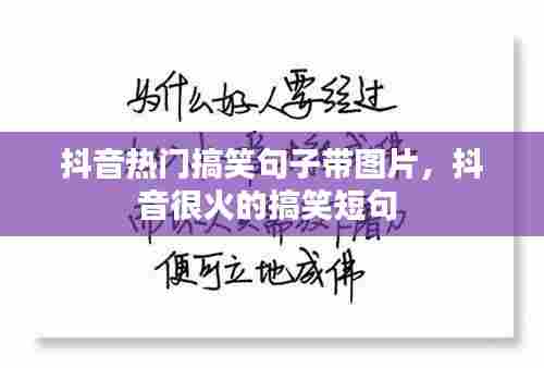 抖音热门搞笑句子带图片,抖音很火的搞笑短句