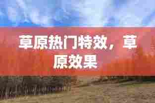 洵属可贵 第6页