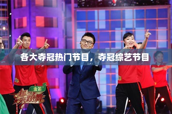 各大夺冠热门节目,夺冠综艺节目