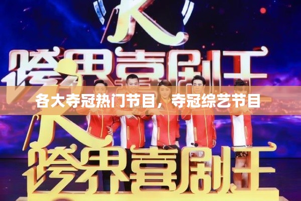 各大夺冠热门节目,夺冠综艺节目