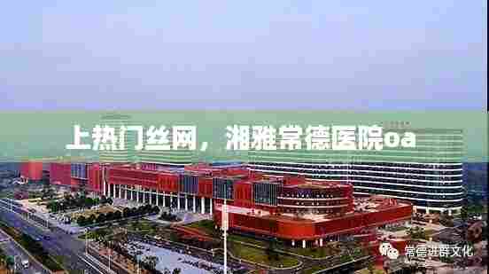 上热门丝网，湘雅常德医院oa 