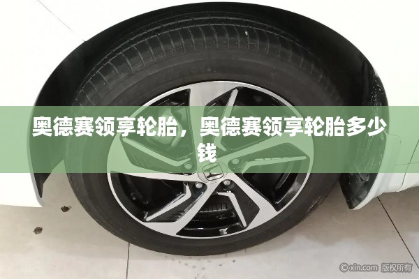 奥德赛领享轮胎,奥德赛领享轮胎多少钱