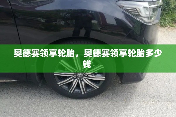 奥德赛领享轮胎,奥德赛领享轮胎多少钱