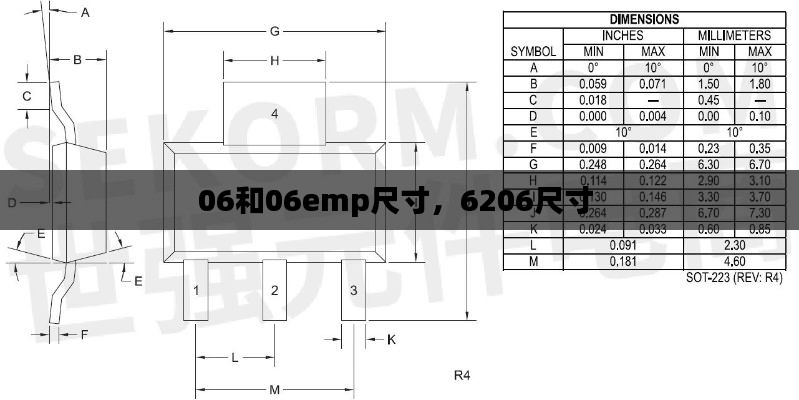 06和06emp尺寸,6206尺寸