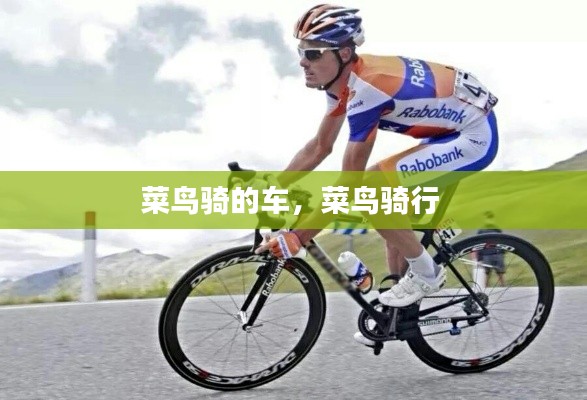菜鸟骑的车,菜鸟骑行