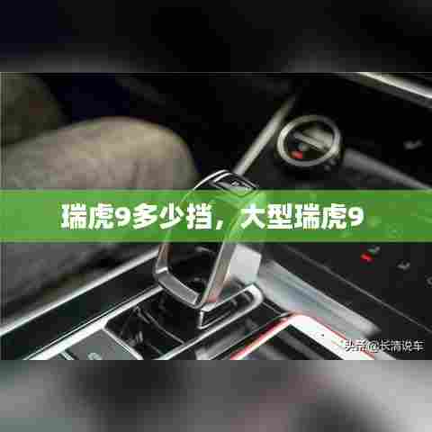 瑞虎9多少挡,大型瑞虎9